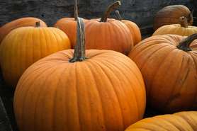 How To Say Trick Or Treat In 5 Different Languages And Other